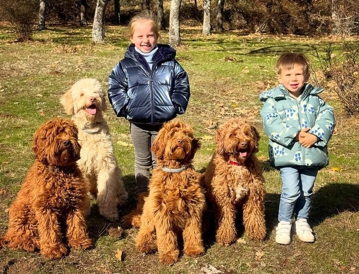 A community of doodle families meeting at a park event