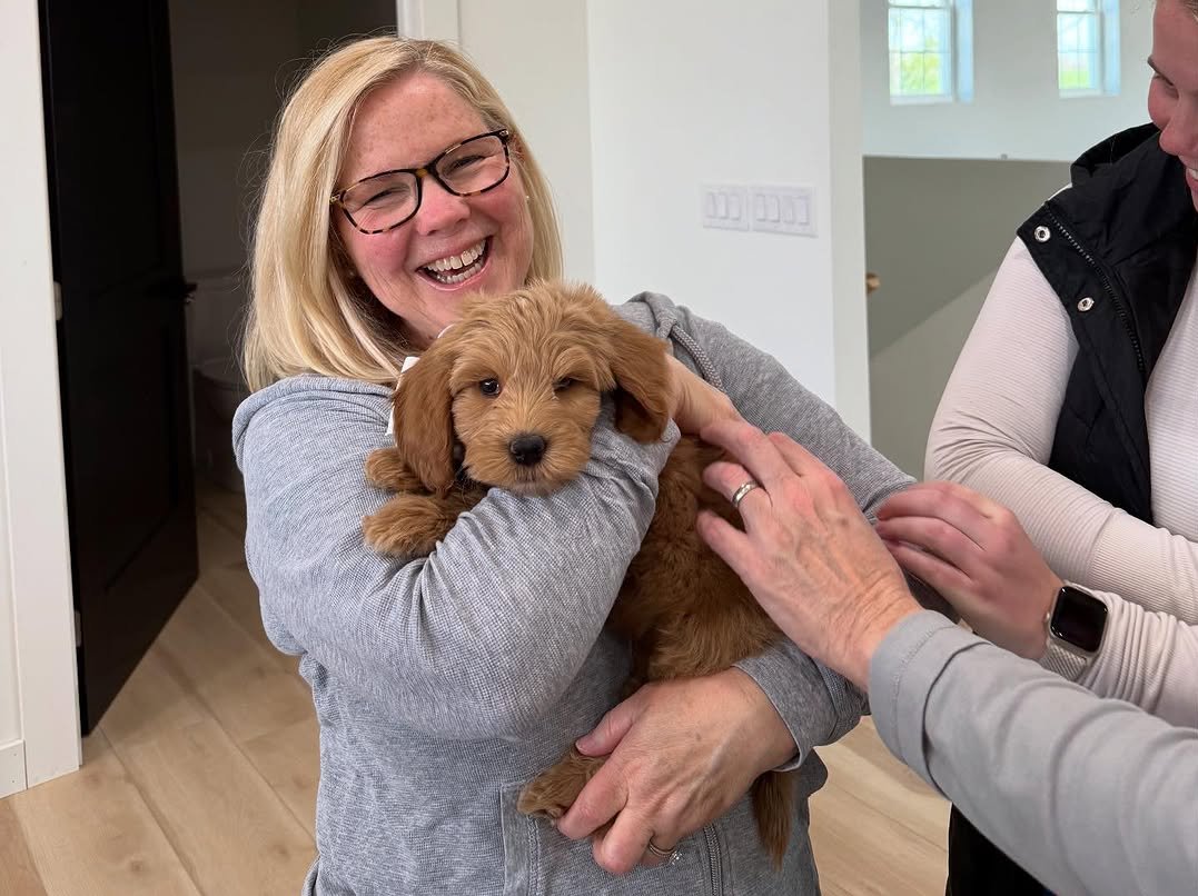 A friendly Goldendoodle puppy answering questions with its family