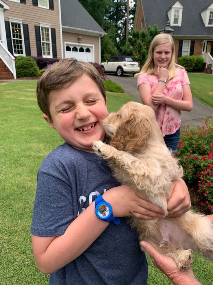 Goldendoodle relaxing beside children in a family room
