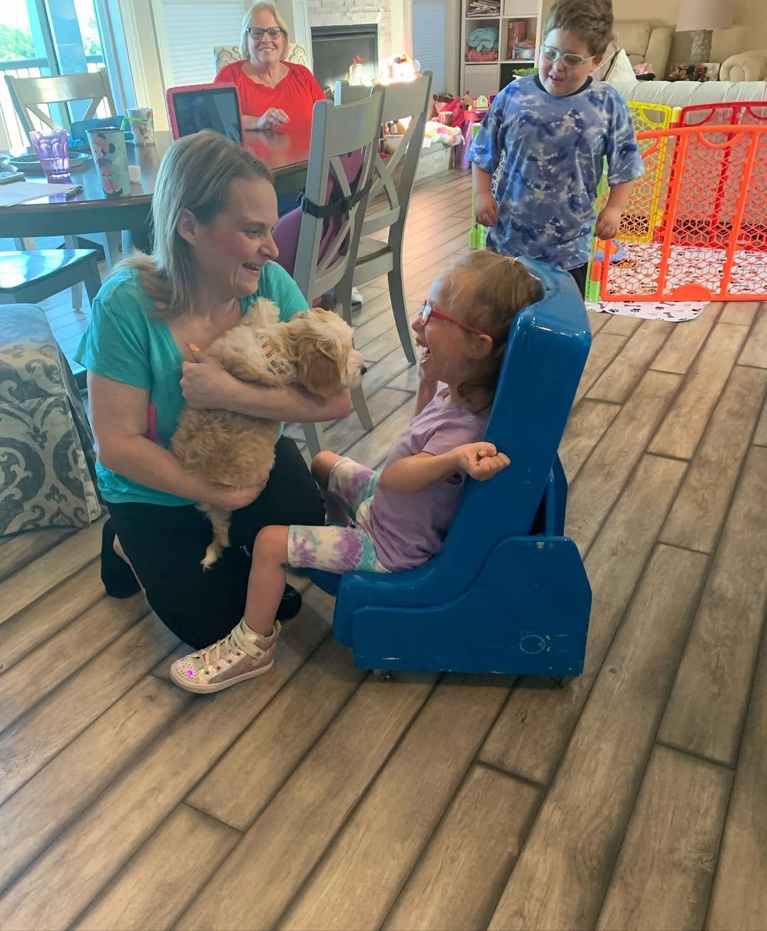 Happy family greeting their new doodle puppy on delivery day