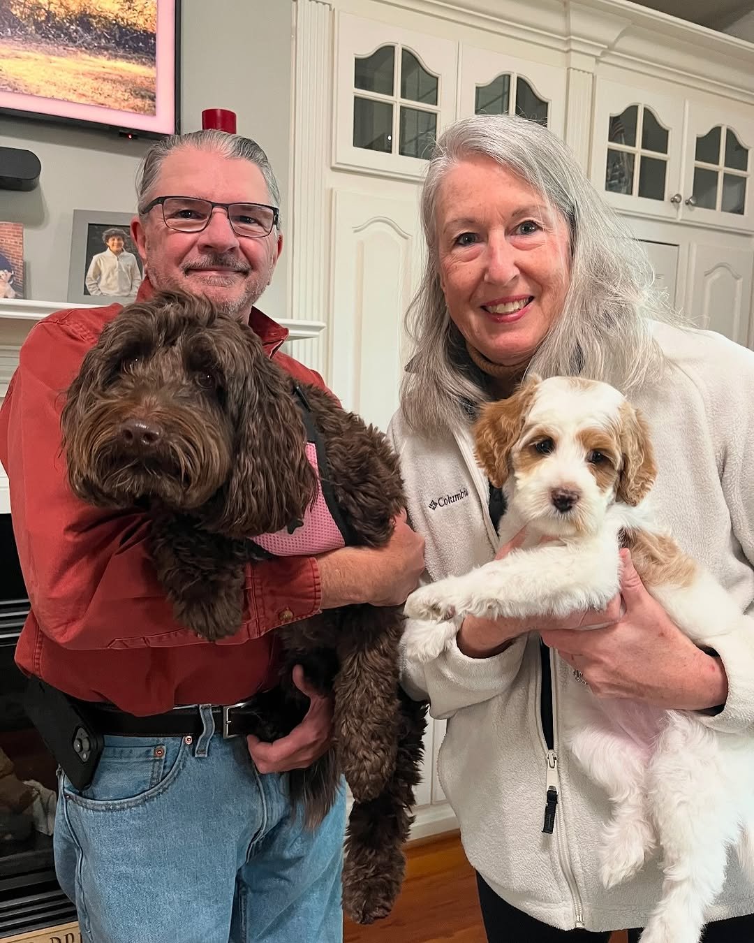 white Australian Labradoodle puppy held gently in hands with a soft outdoor backyard setting